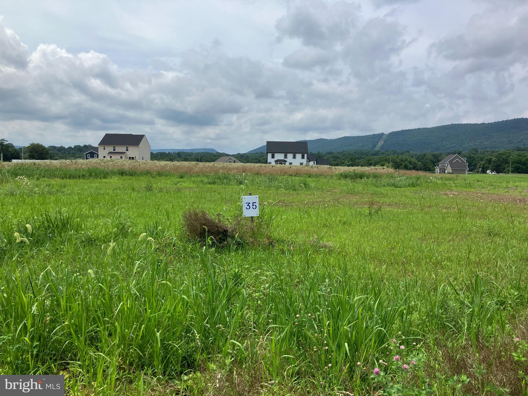 CHESTNUT HILL - Land