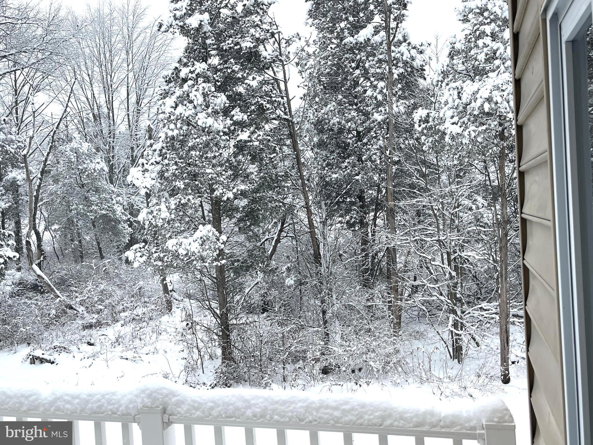 COUNTRY VIEW ESTATES - Residential