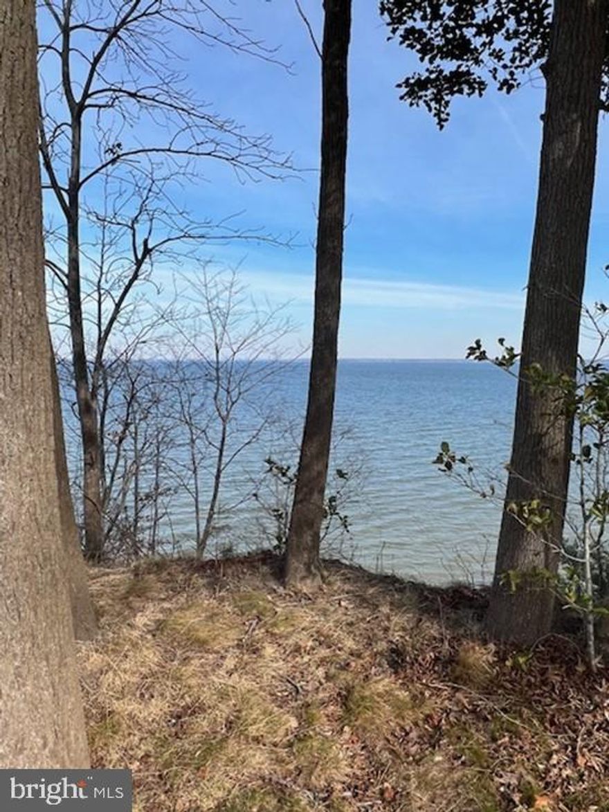Discover this rare opportunity to own a flat, buildable riverfront parcel along the scenic Potomac River in the desirable Stratford Harbor community of Westmoreland County Virginia. The breathtaking property features a private installed 4-bedroom septic system offering a valuable head start on your Riverfront home.
Unbelievable panoramic water views and a peaceful setting make this such a sought-after community.  Community marina, boat ramp, clubhouse, swimming pool, tennis/pickleball court, Potomac Riverfront beach and a 100+acre lake with its own separate beach, offers so many options for your daily activities. A short drive to Montross and Colonial Beach. Whether you're envisioning a full-time waterfront residence, a weekend get-away or a smart investment build, this level Potomac River lot provides endless possibilities for life on the Northern Neck
* Water Frontage to be verified by Purchaser