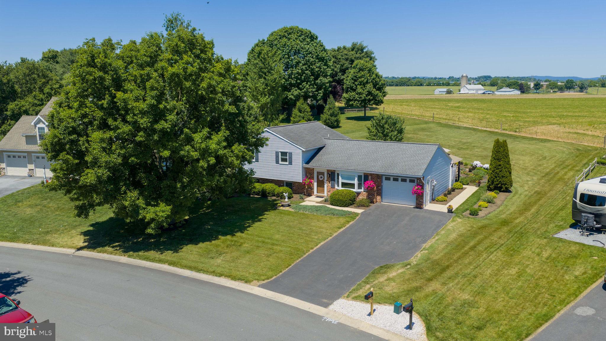 91 BUCHLAND ROAD
