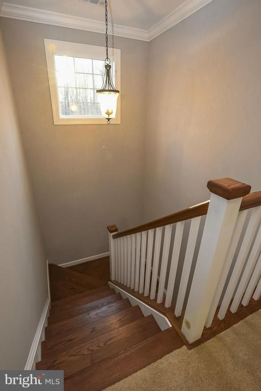 GLEN VERDANT - Residential