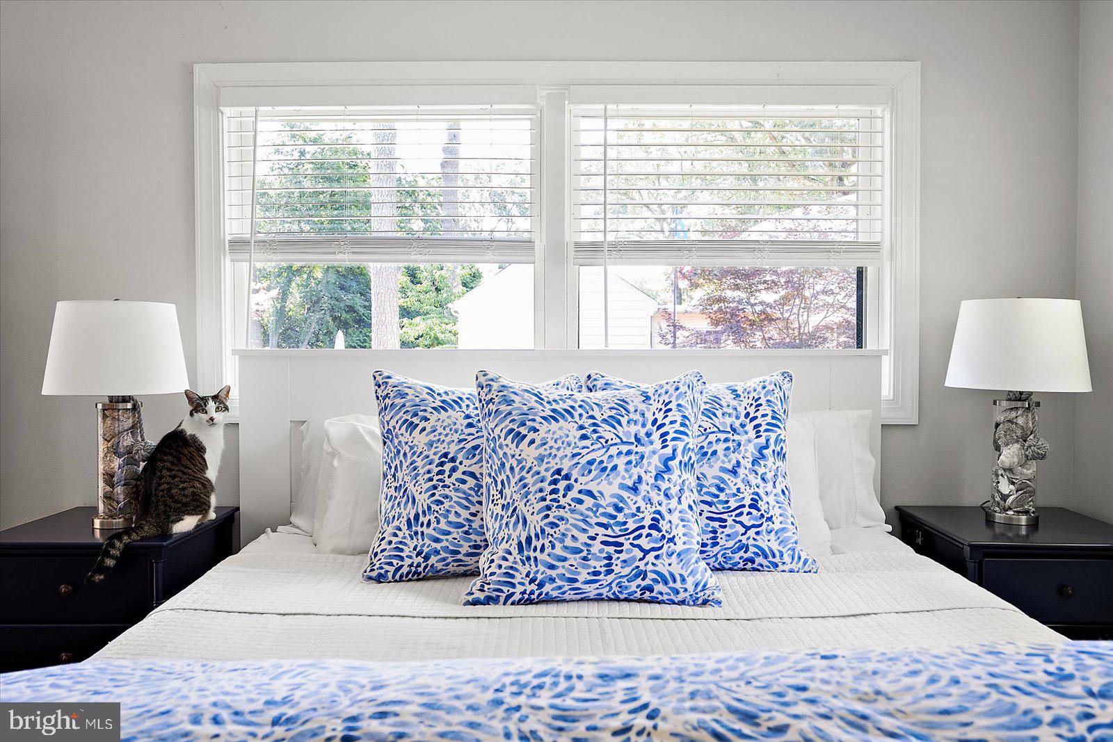 TONY TANK - Residential