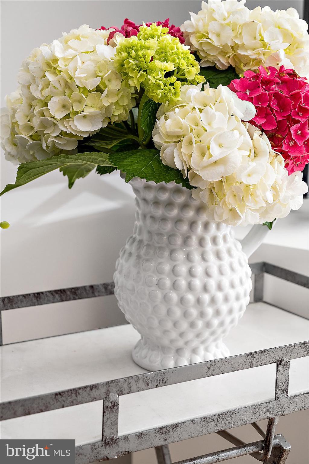 TONY TANK - Residential