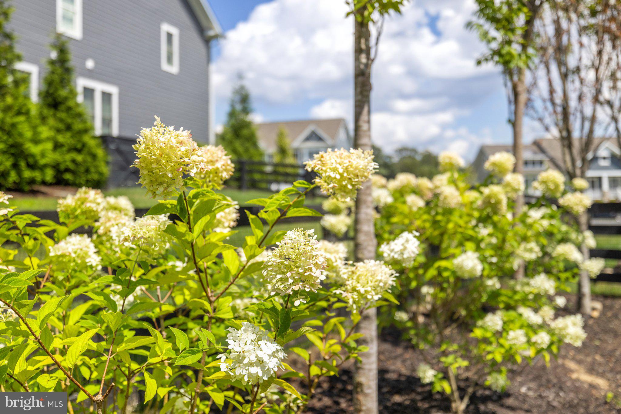 WILLOWSFORD GRANT ESTATES - Residential