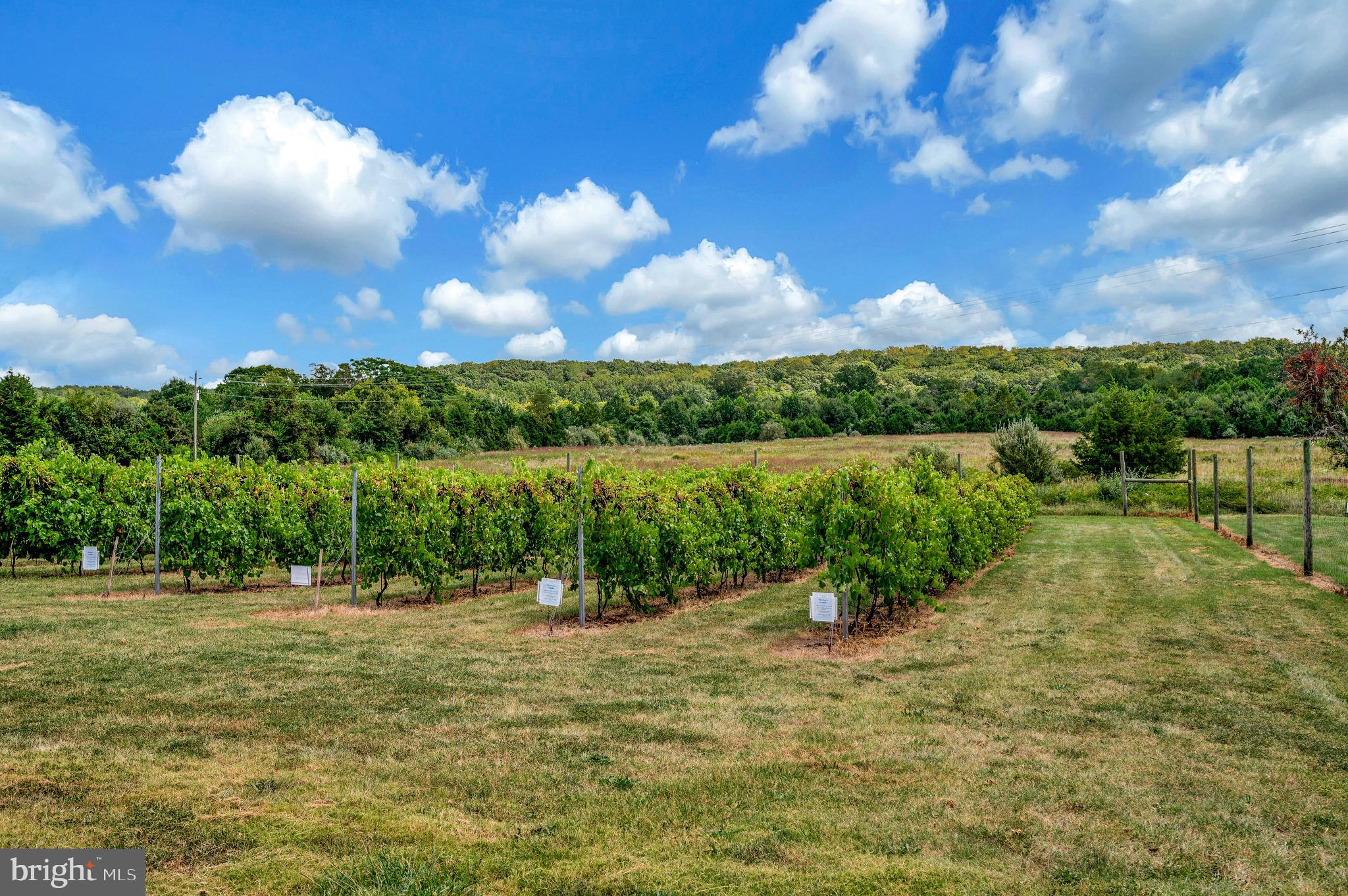 EFFINGHAM FARM - Residential