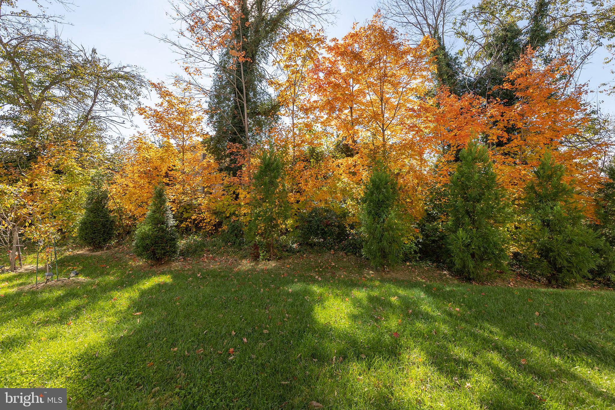 TOWNES AT TATE MANOR - Residential