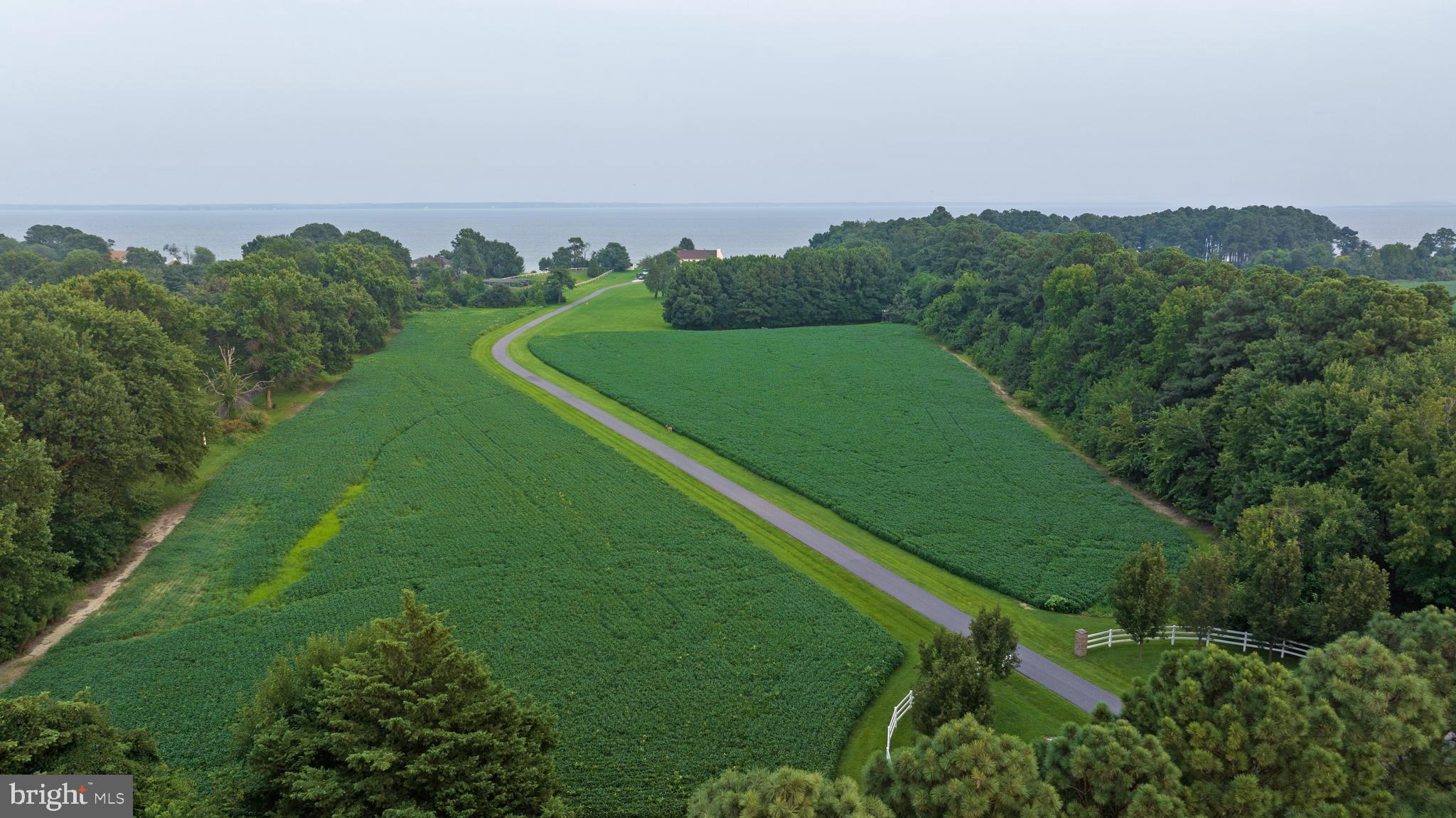 200 MALLARD COVE LANE