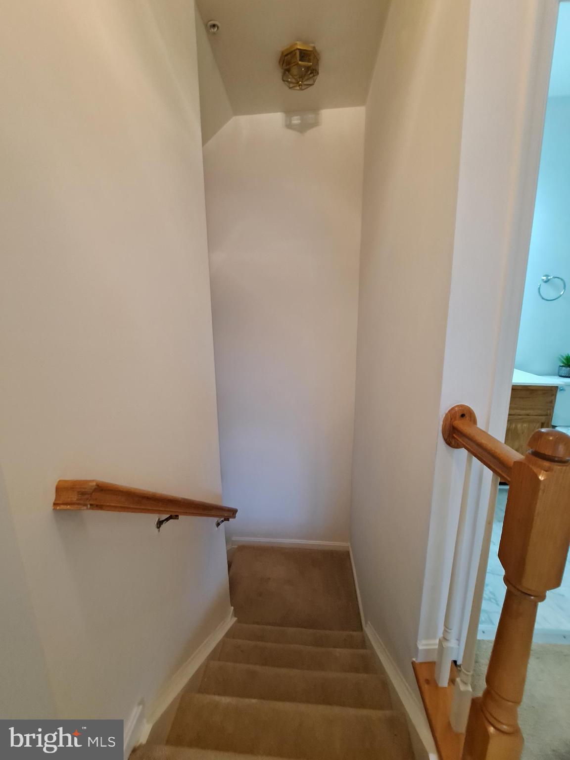 HAMPSHIRE HALL - Residential