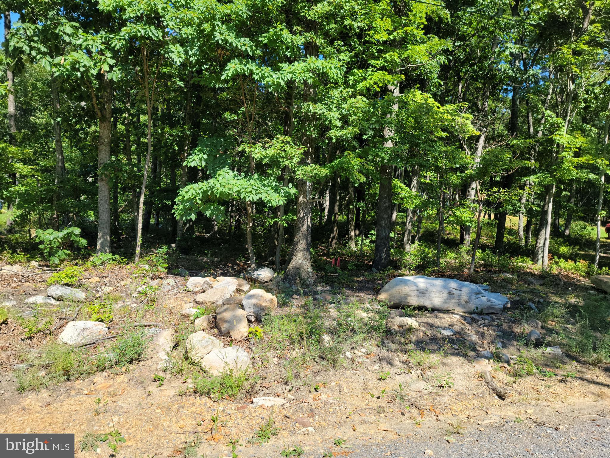 WILDE ACRES/ MTN FALLS - Land