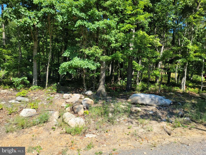 Come see this level wooded lot in the heart of Wilde Acres. 
Great neighborhood location with a 3 bedroom PERC letter on file.
Seller has numerous additional lots.  Possible discount offered if all lots are purchased at once.