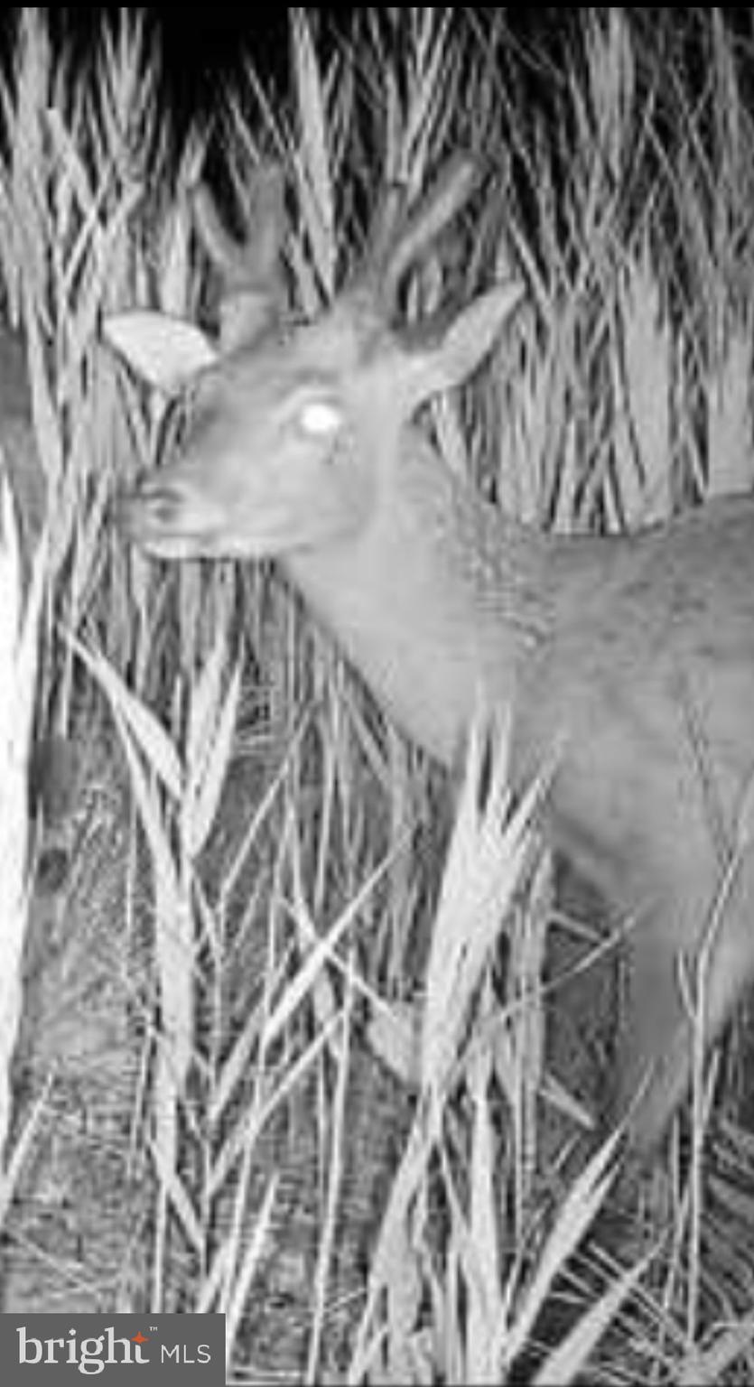 TODDVILLE - Residential