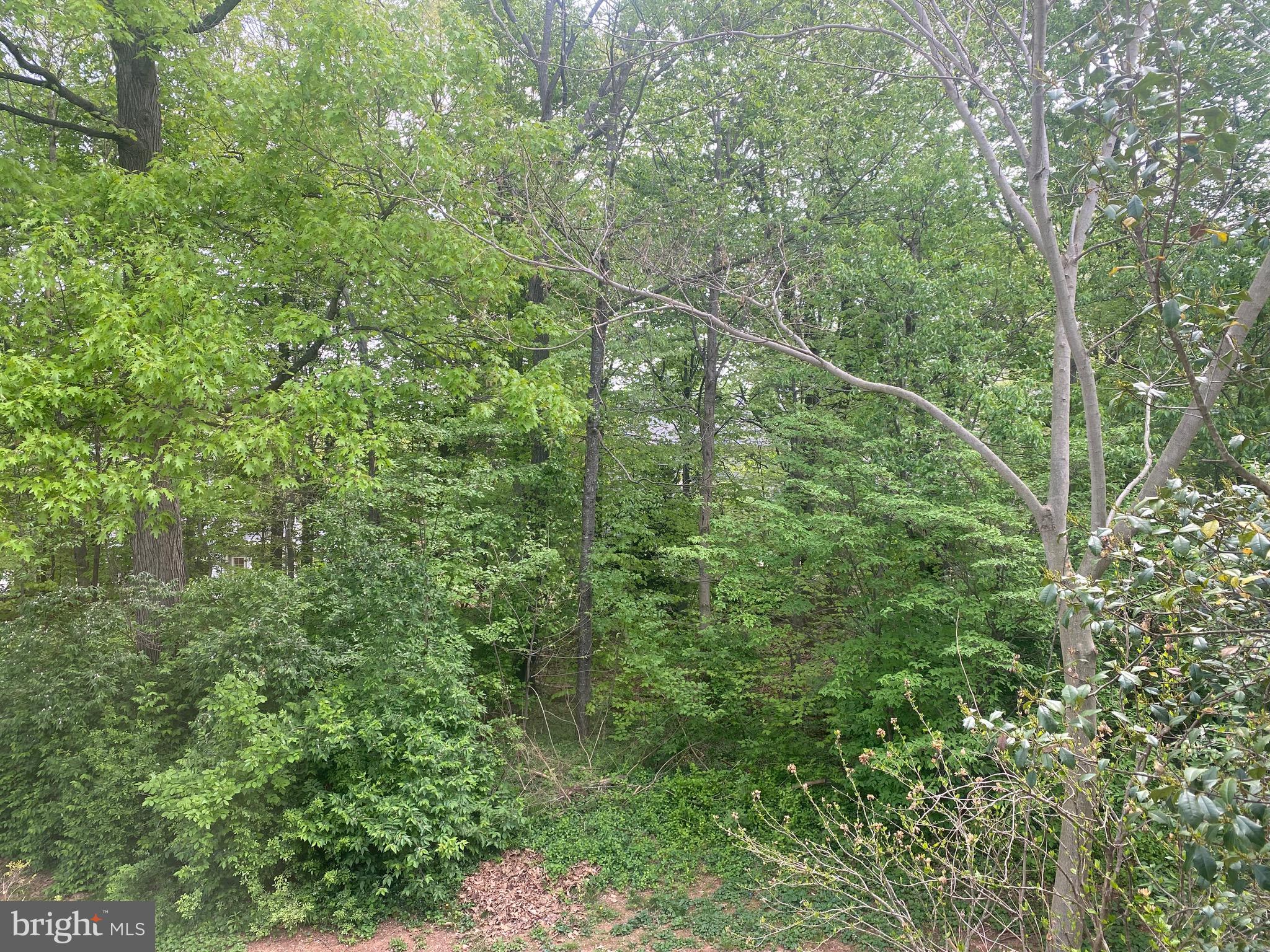 COUNTRYSIDE - Residential Lease