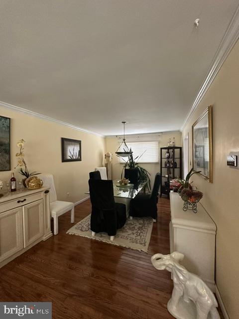 12 N SYRACUSE DRIVE N