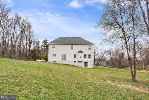 listing image 42