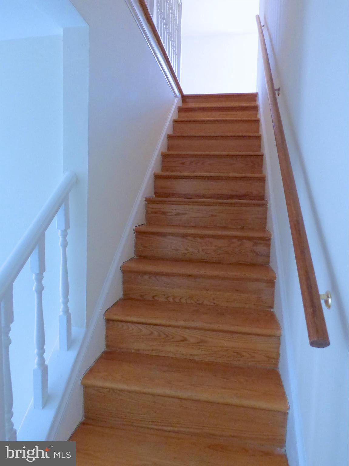 HOLLY GAF ACRES - Residential Lease