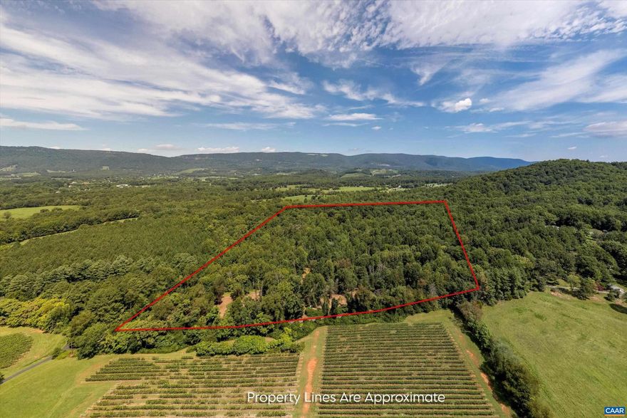Builders, Developers, Business Owners, and Visionaries take note! This wonderfully located rural property is booming with potential! Located 10 minutes off the highway in the Afton Valley along the Nelson 151 Brew Ridge Trail, just across from the Cardinal Point Winery. Zoned A-1 Agricultural, this 21.4 acres could be the perfect site for your new custom home, OR can be subdivided into a maximum of 6 parcels AND has the following uses permitted by right: single family, duplex, bed and breakfast, farm winery, farm brewery, boardinghouse, vacation house, and more. Situated just inside the Nelson County east border, immediately next to Albemarle County. Centrally located between Charlottesville and Waynesboro in the Rockfish Valley, within minutes of 6 wineries, 2 breweries, and 1 distillery with 10+ more along this popular scenic route. Additional nearby tourism includes Shenandoah National Park, Skyline Drive, the Blue Ridge Parkway, the Appalachian Trail (AT), Jefferson's Monticello, and other local attractions. Did we mention the property has a babbling stream? Put on your boots, bring your contractor and sketch pad, and come explore all the possibilities this property has to offer! Don't miss the Drone Flight Tour!
