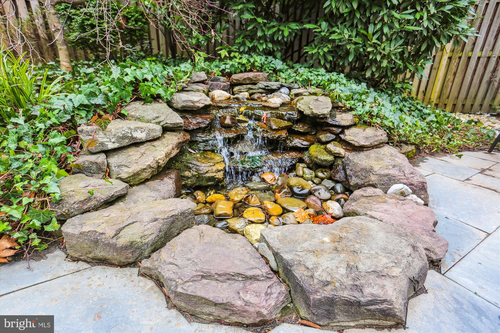 CHEVY CHASE PARK - Residential