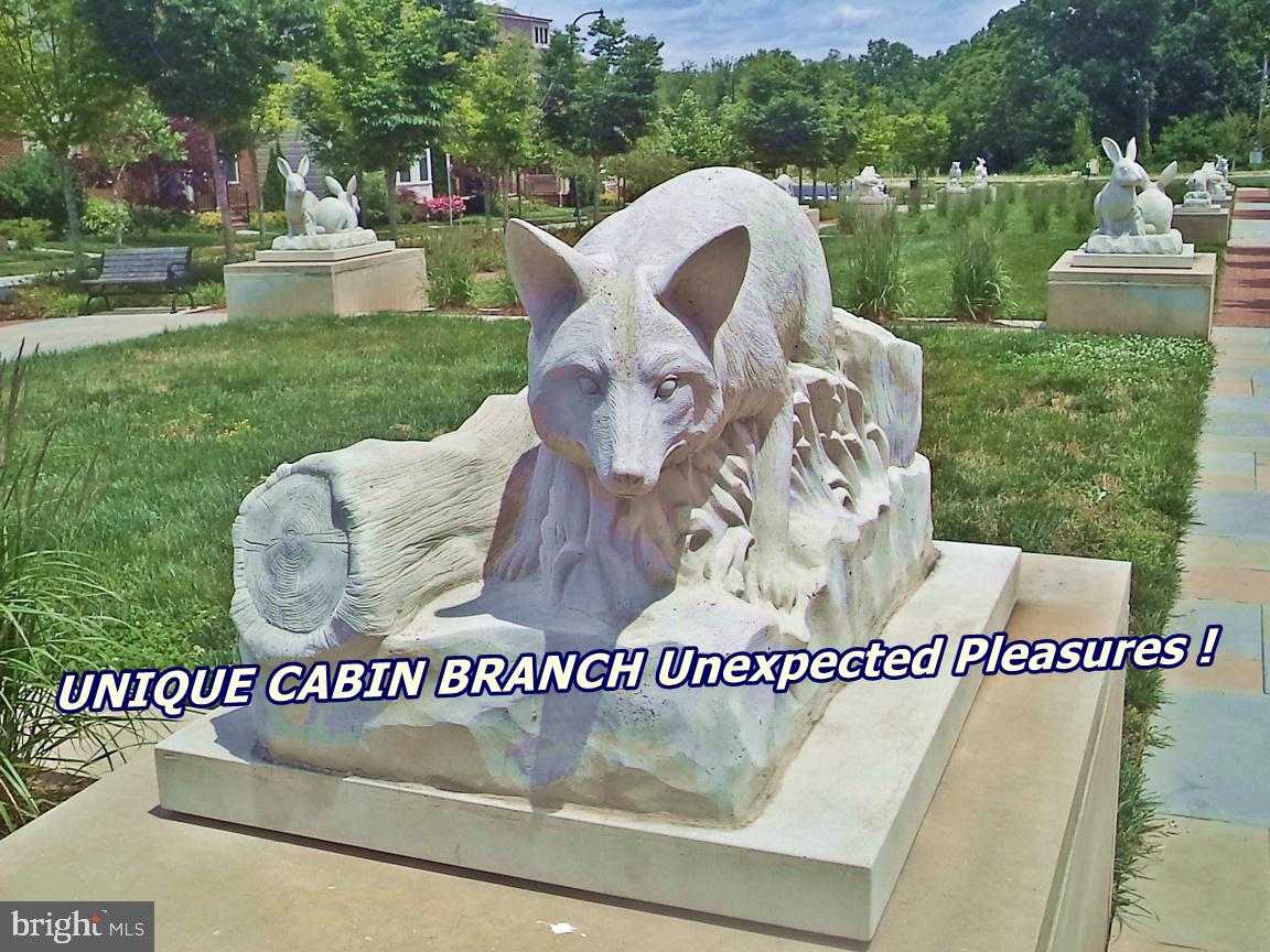 CABIN BRANCH - Residential