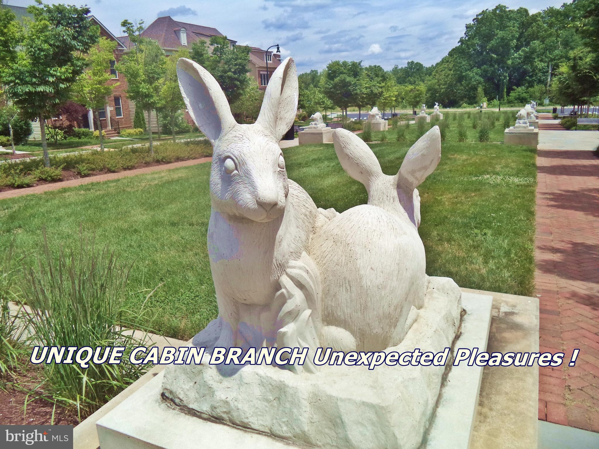 CABIN BRANCH - Residential