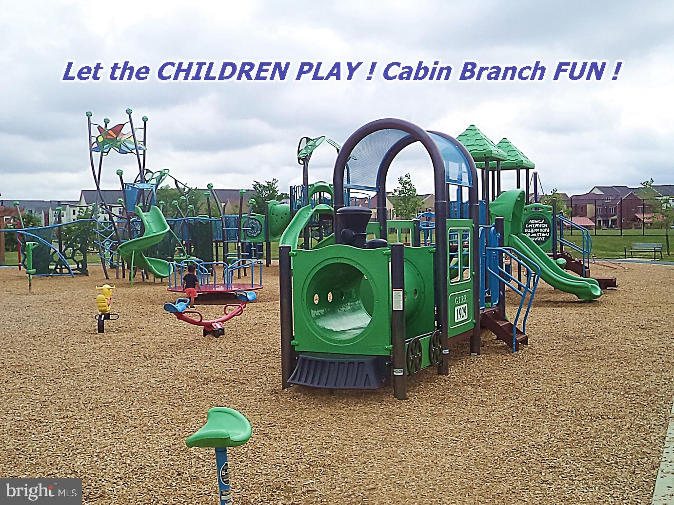 CABIN BRANCH - Residential