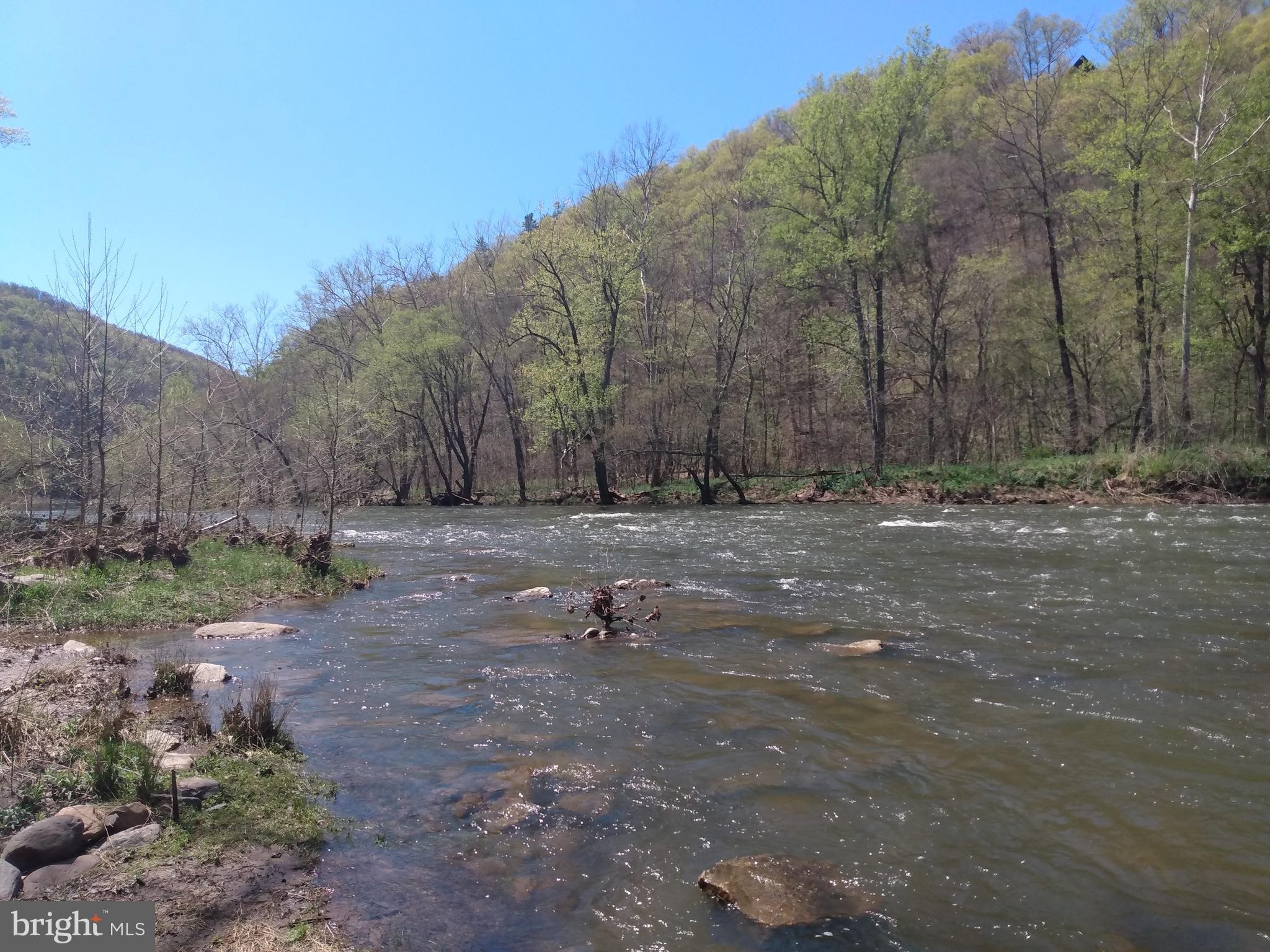 BRIARY BOTTOM - Land