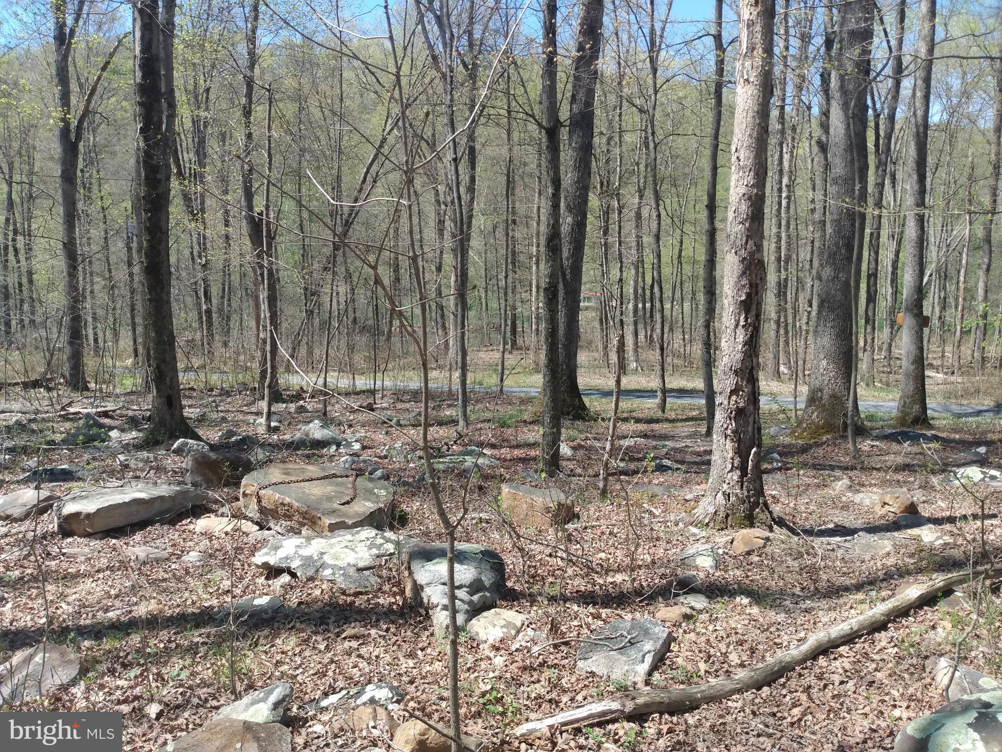 BRIARY BOTTOM - Land