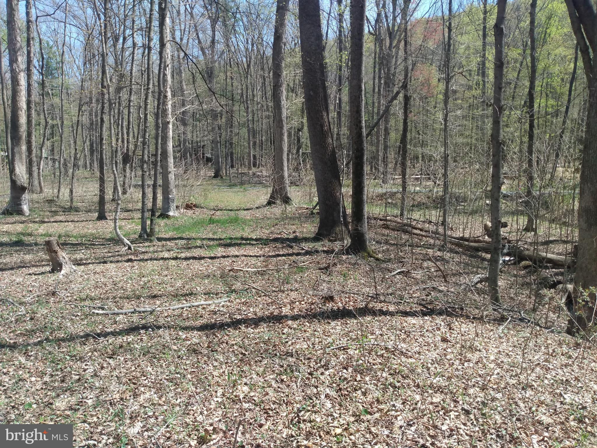 BRIARY BOTTOM - Land