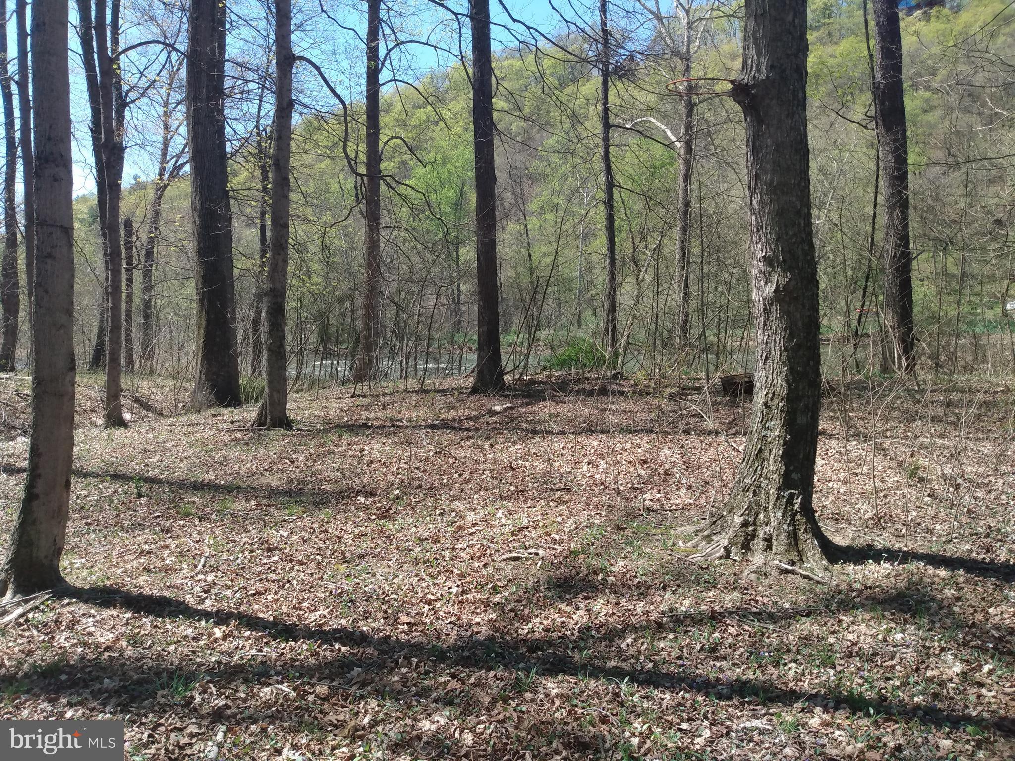 BRIARY BOTTOM - Land