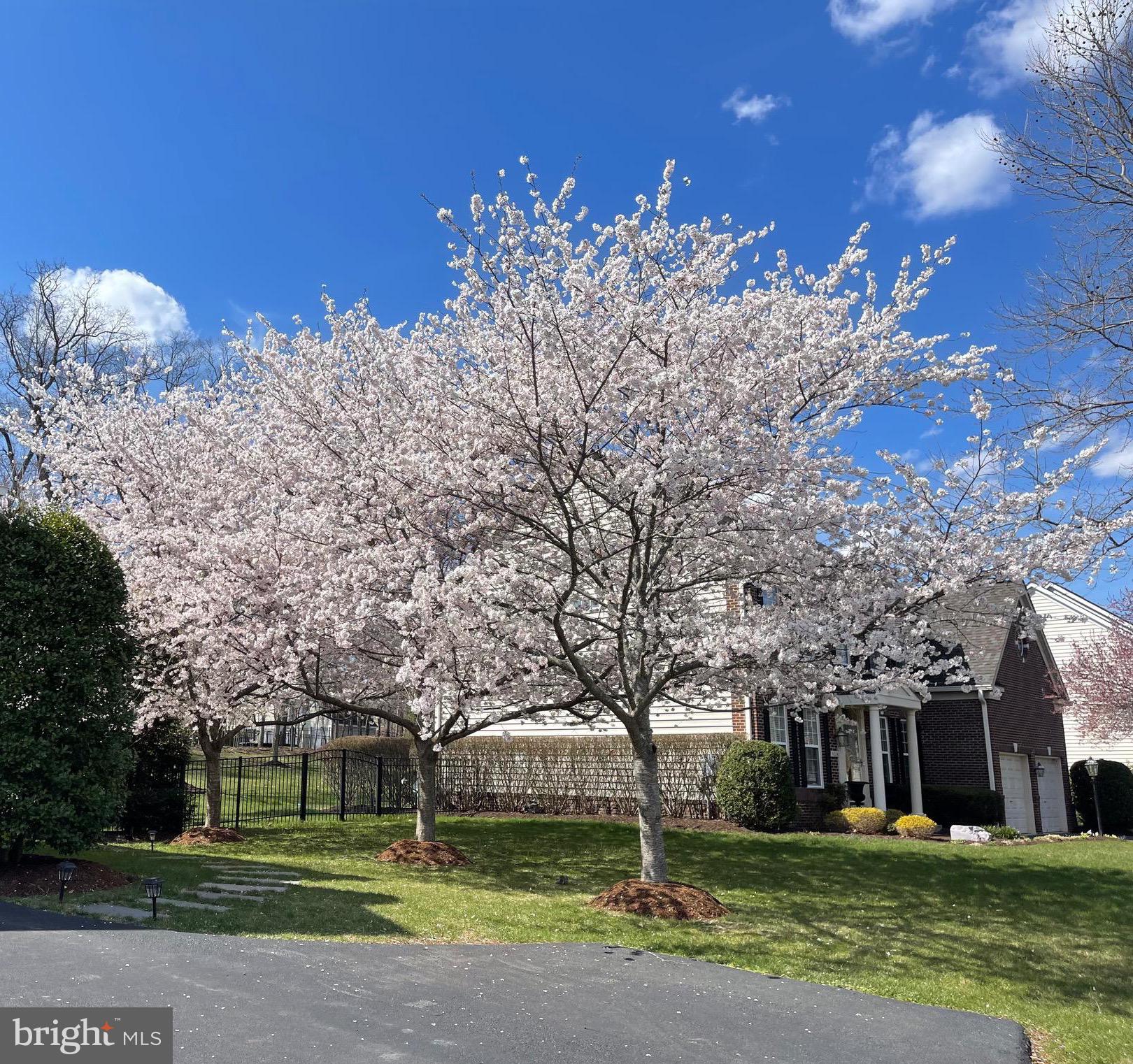 PIEDMONT - Residential