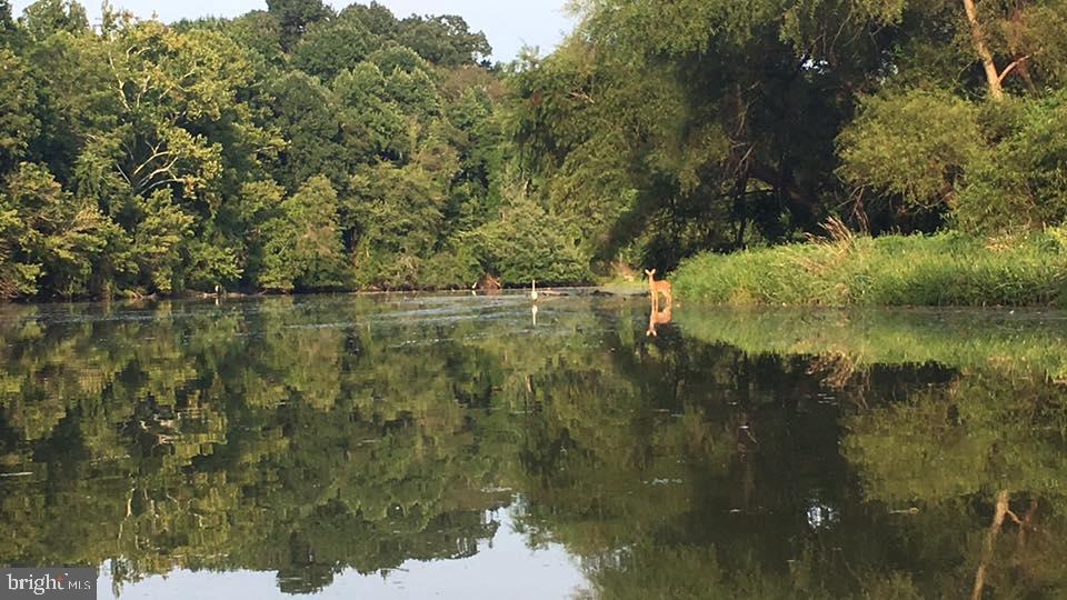 LAKE LINGANORE OAKDALE - Residential