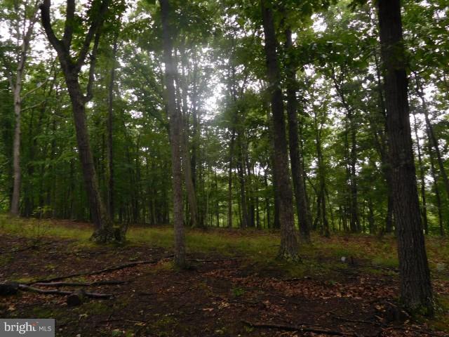 SLEEPY KNOLLS - Land