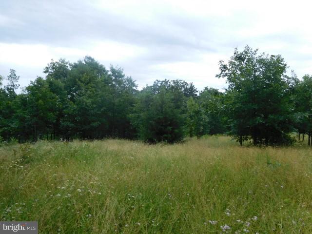 SLEEPY KNOLLS - Land