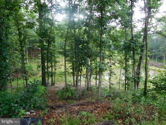 SLEEPY KNOLLS - Land