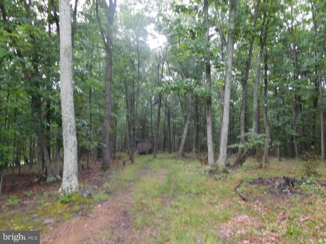 SLEEPY KNOLLS - Land