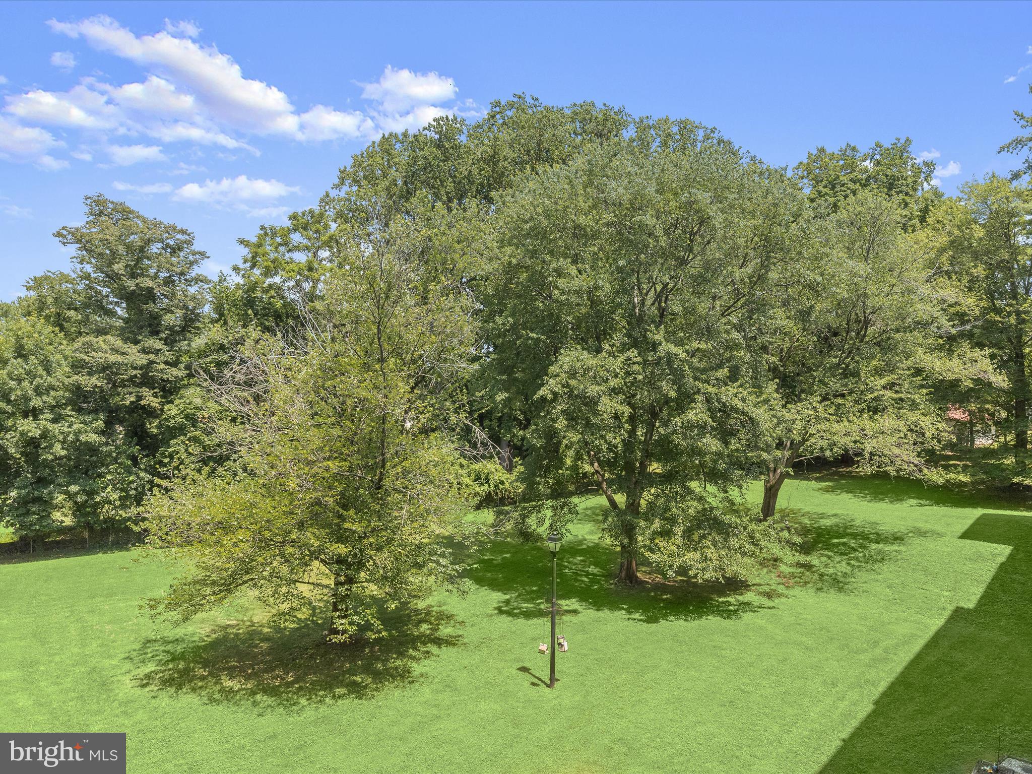 THE ELMONT - Residential