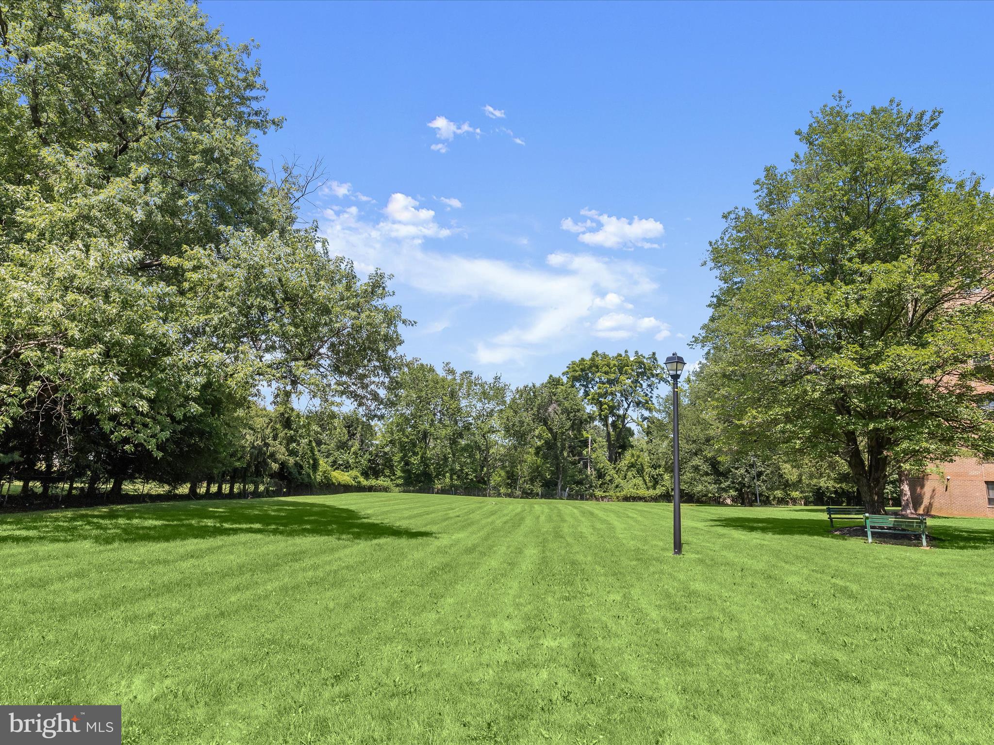 THE ELMONT - Residential