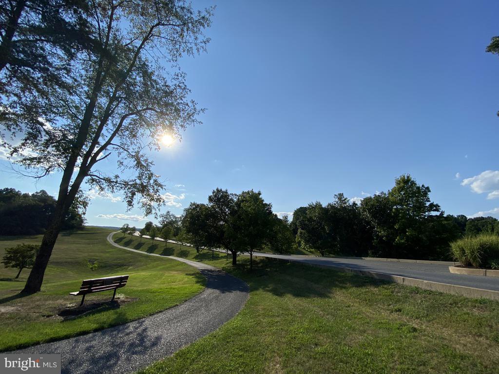 THE WOODS - Residential