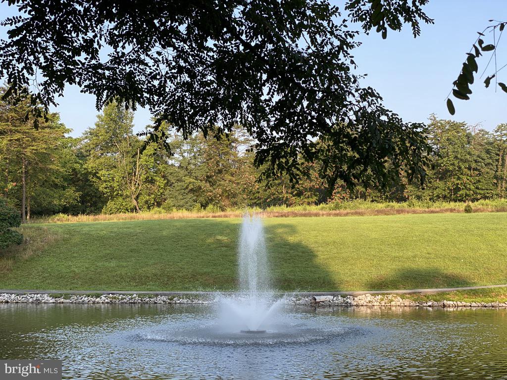 THE WOODS - Residential