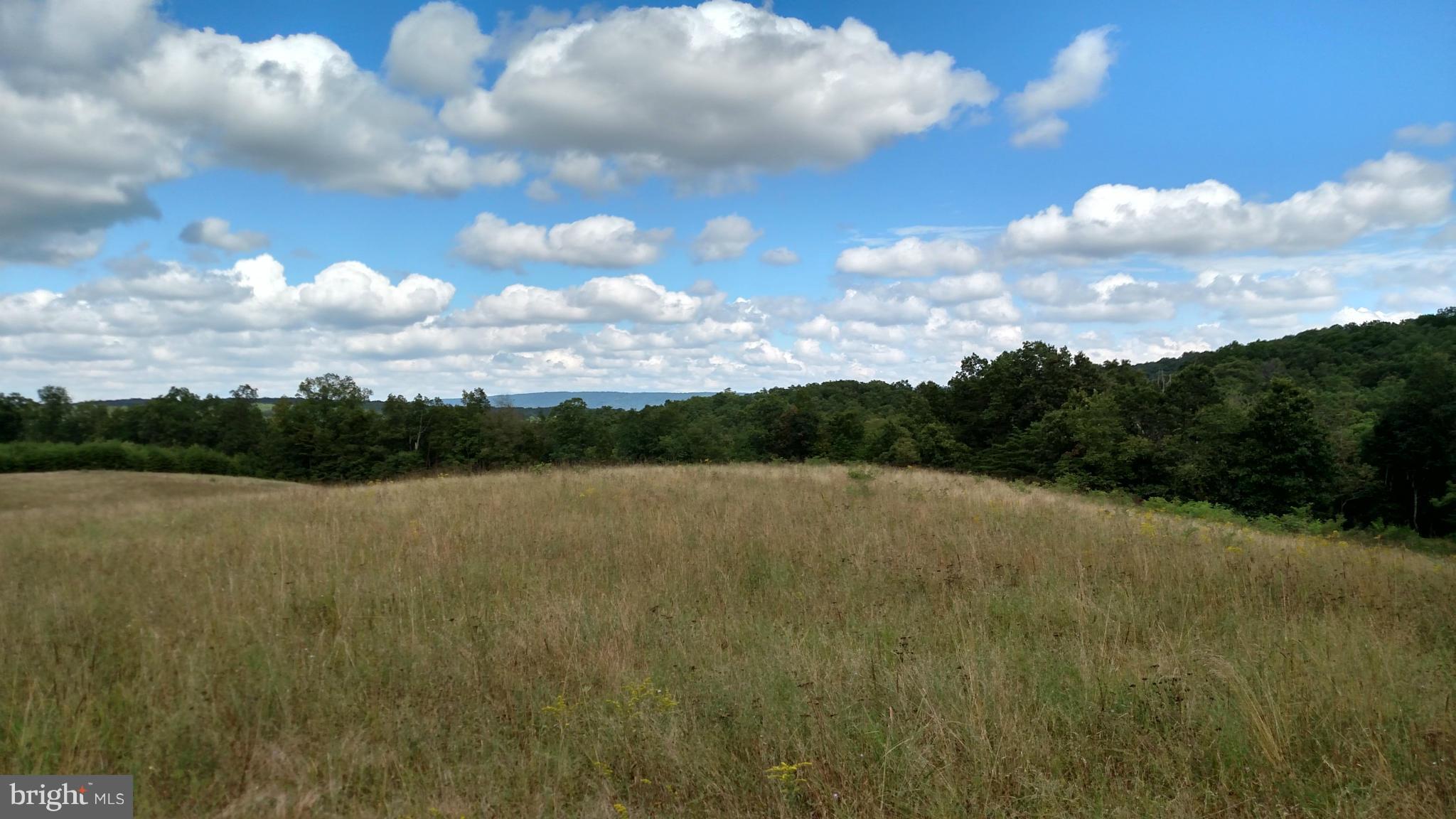 NONE AVAILABLE - Land