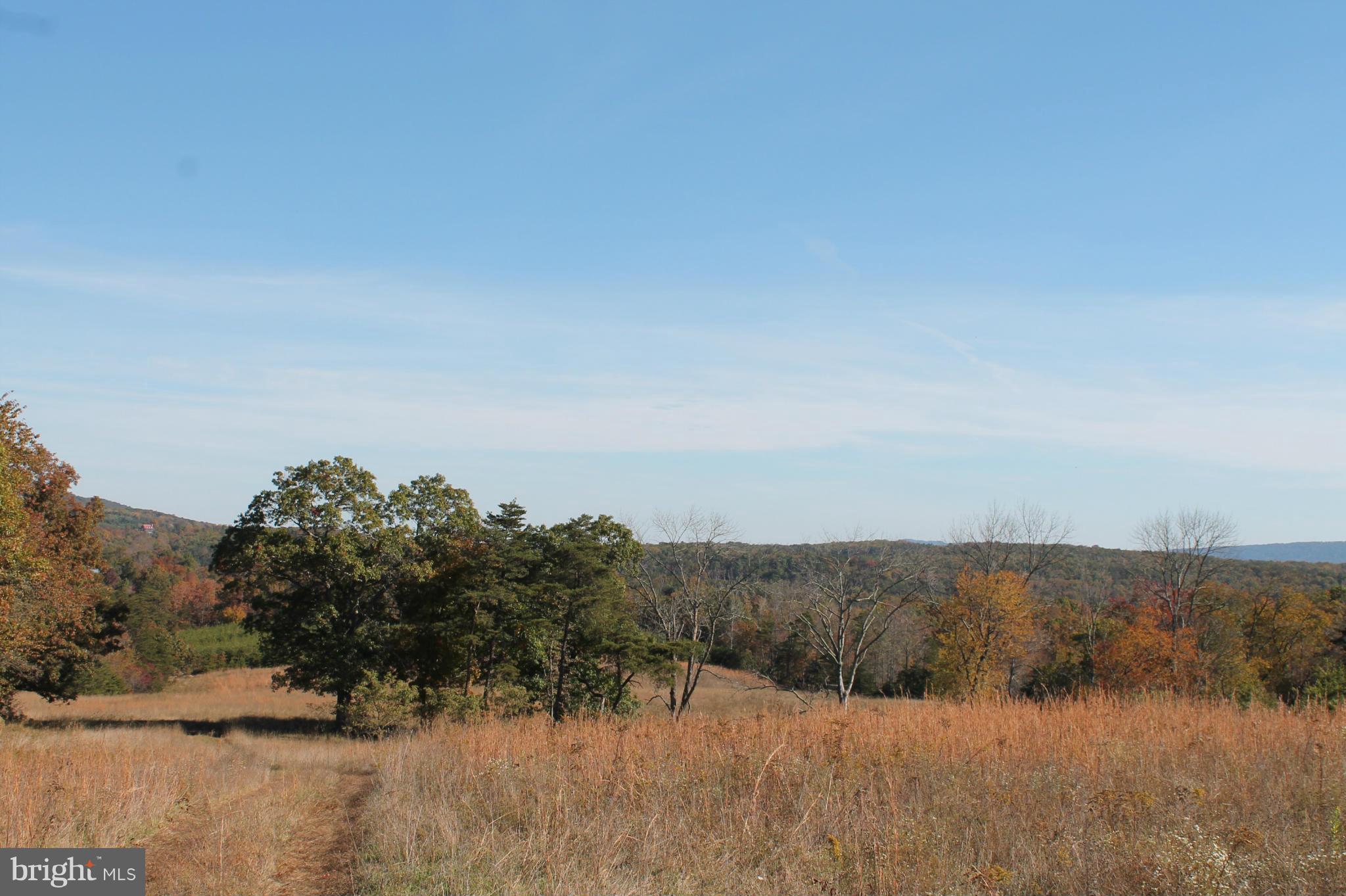 NONE AVAILABLE - Land