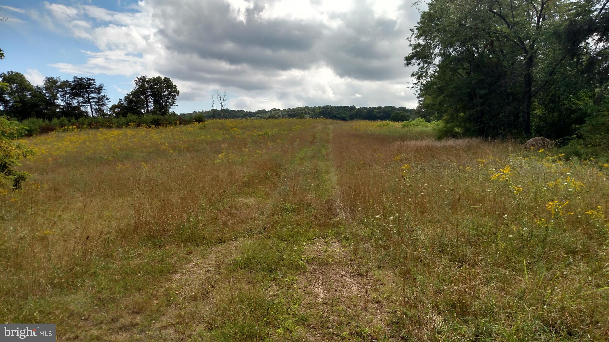 NONE AVAILABLE - Land