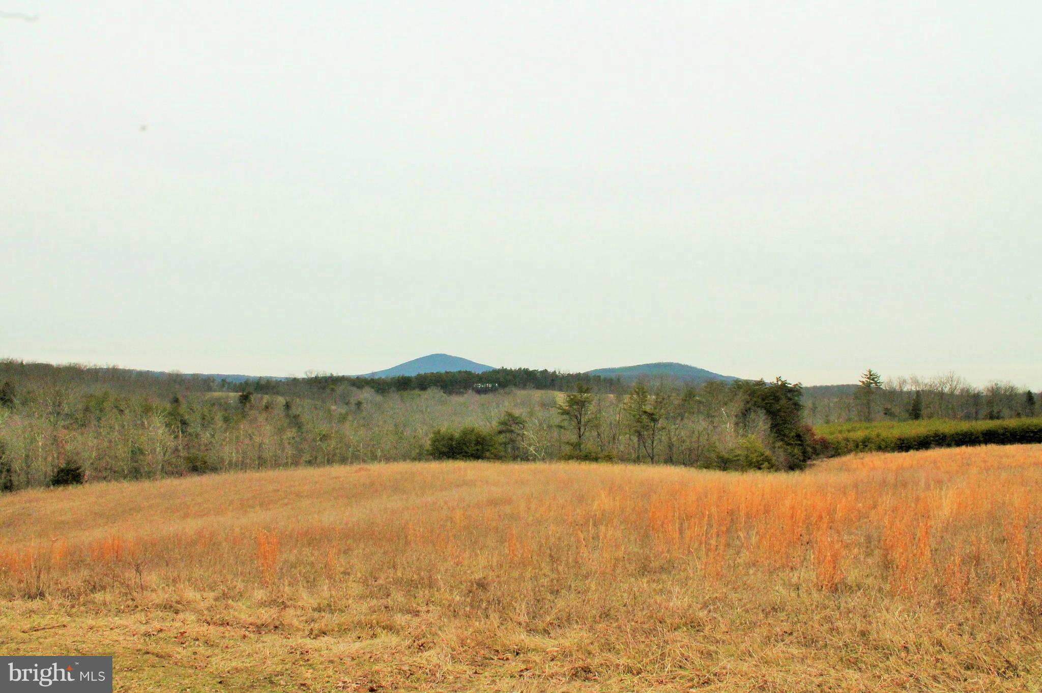 NONE AVAILABLE - Land