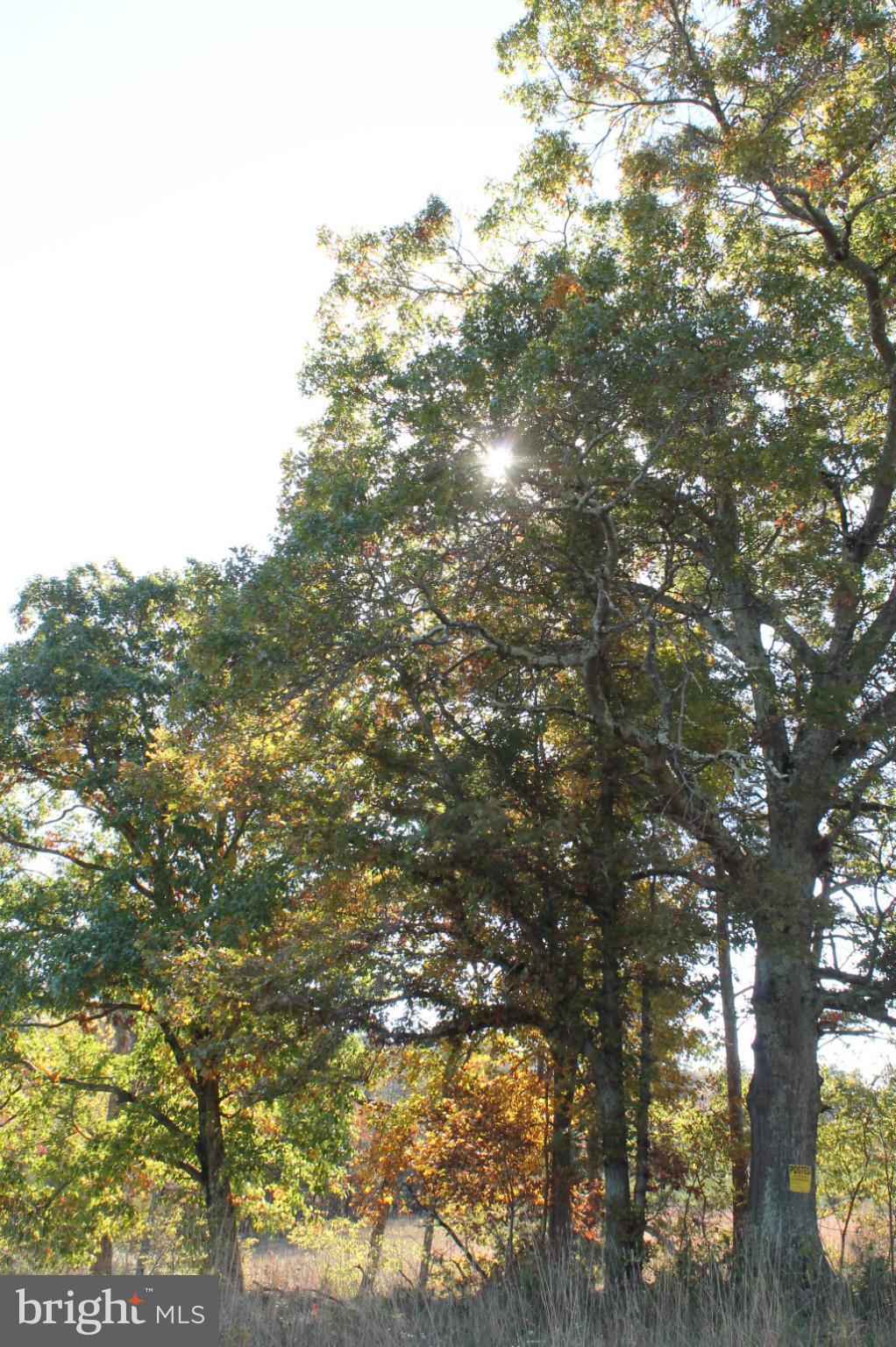 NONE AVAILABLE - Land