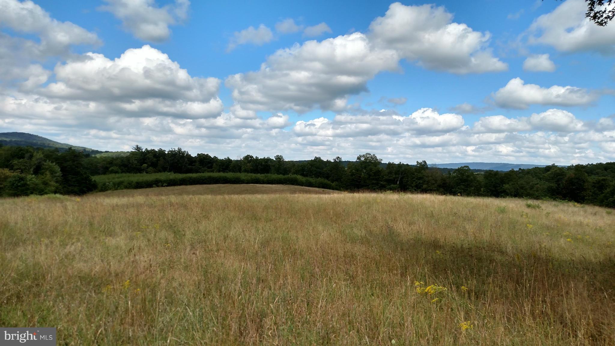 NONE AVAILABLE - Land