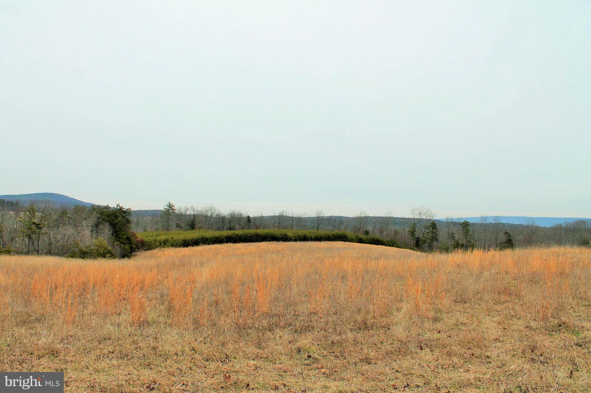 NONE AVAILABLE - Land