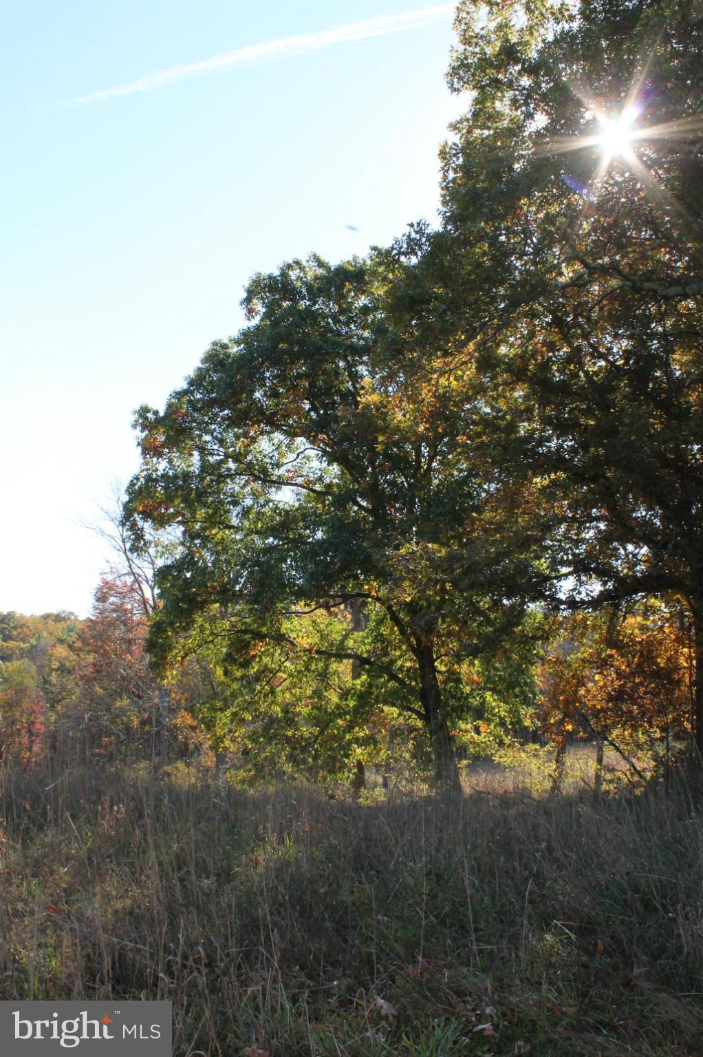 NONE AVAILABLE - Land