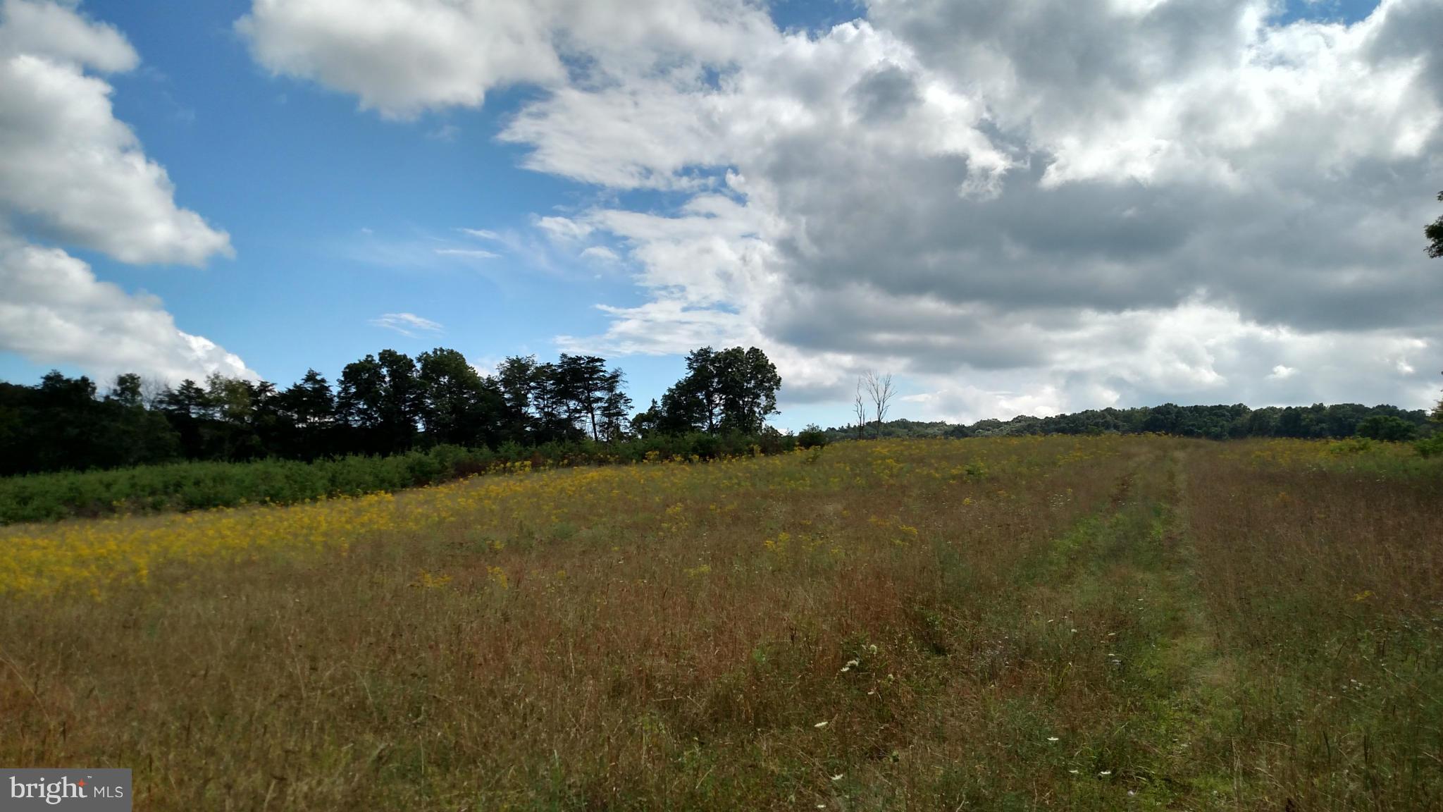 NONE AVAILABLE - Land