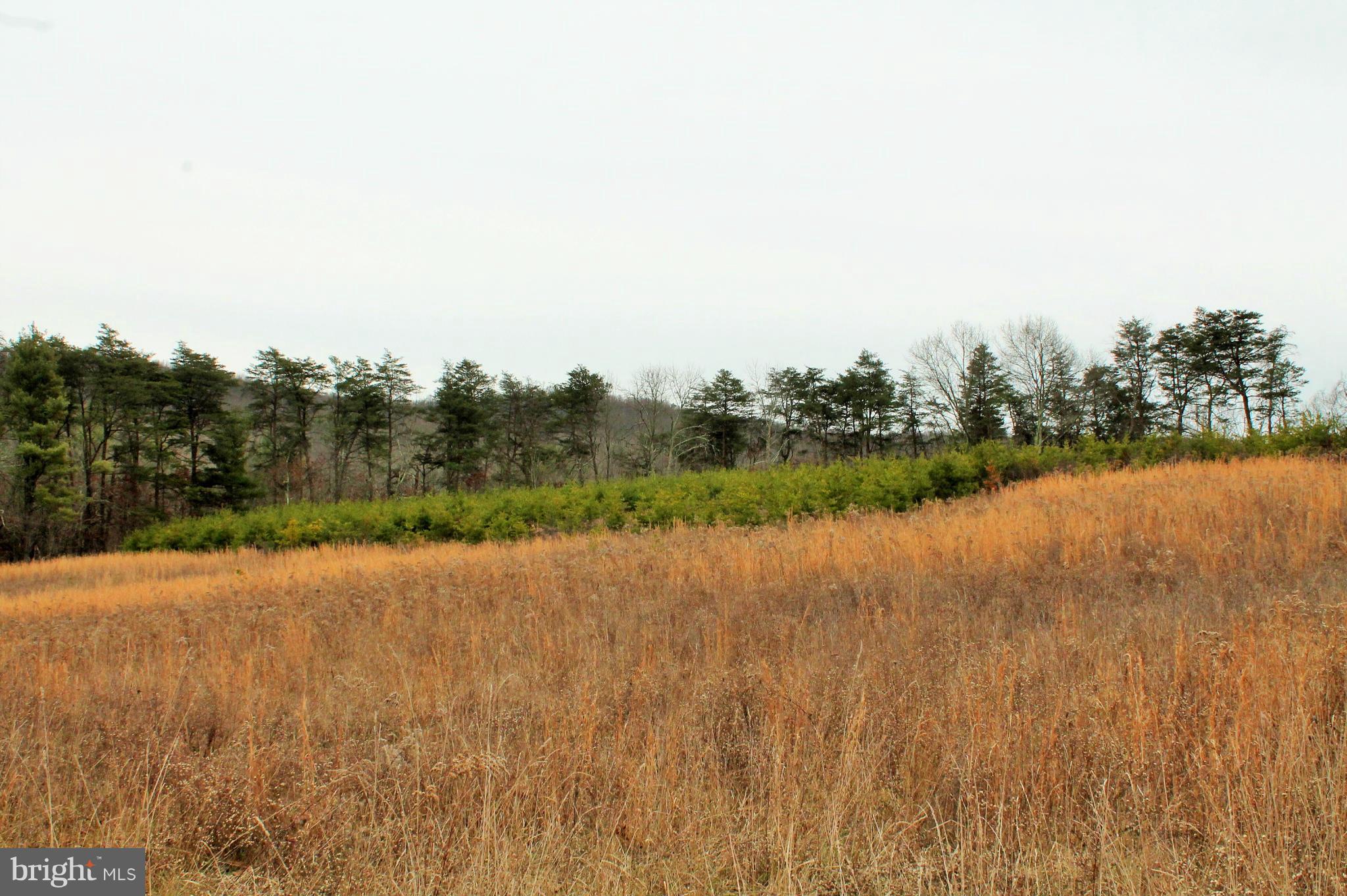 NONE AVAILABLE - Land