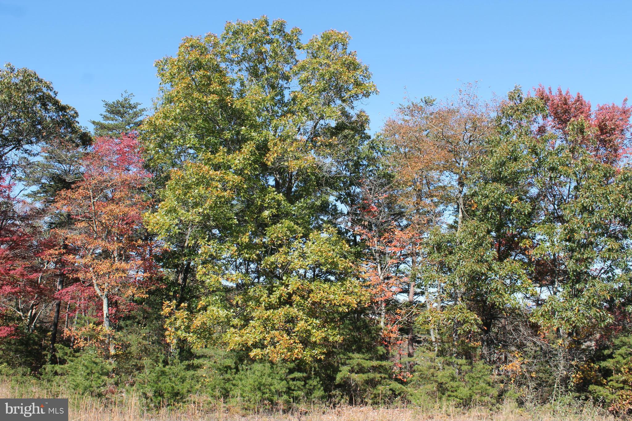 NONE AVAILABLE - Land