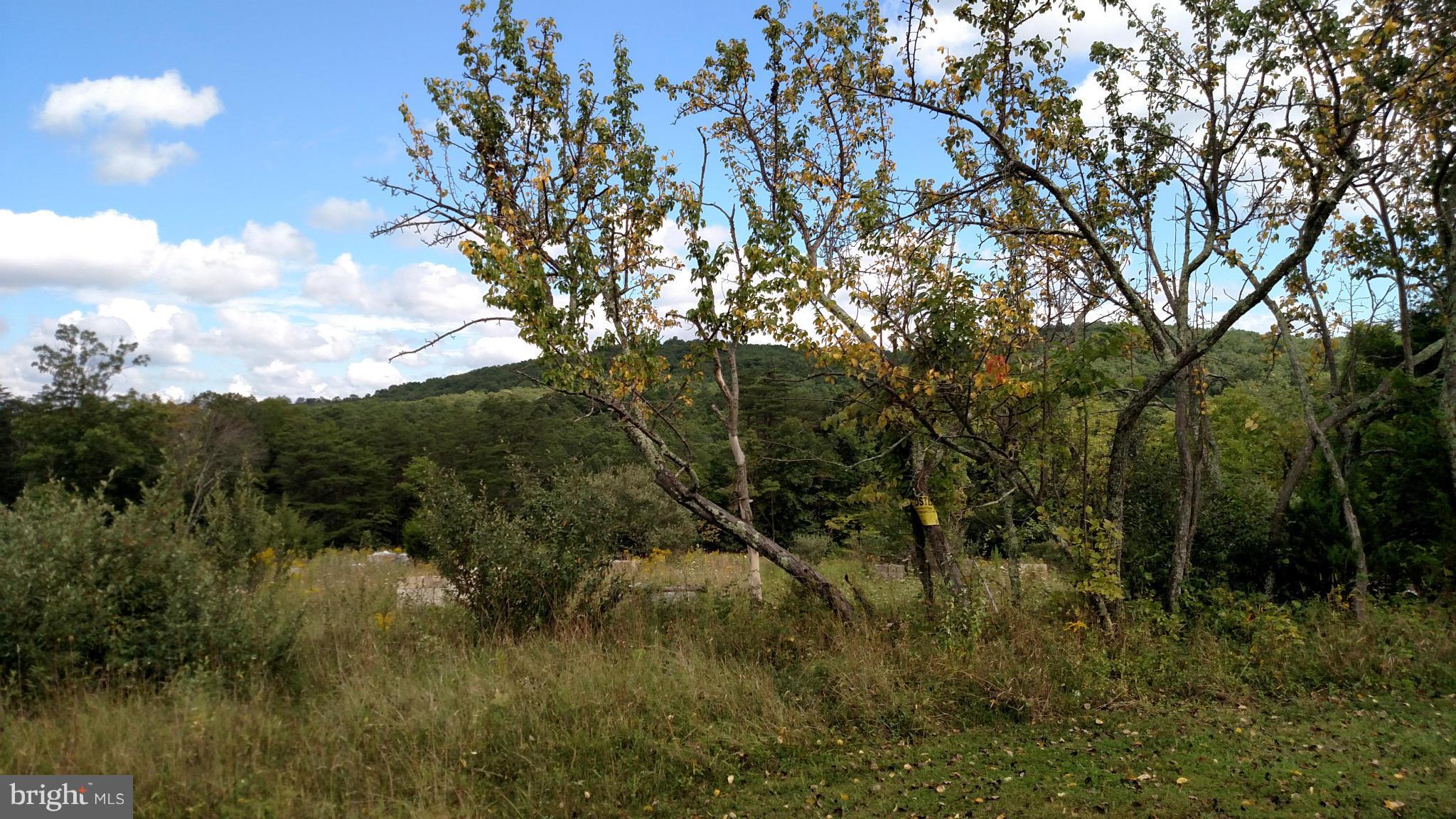 NONE AVAILABLE - Land